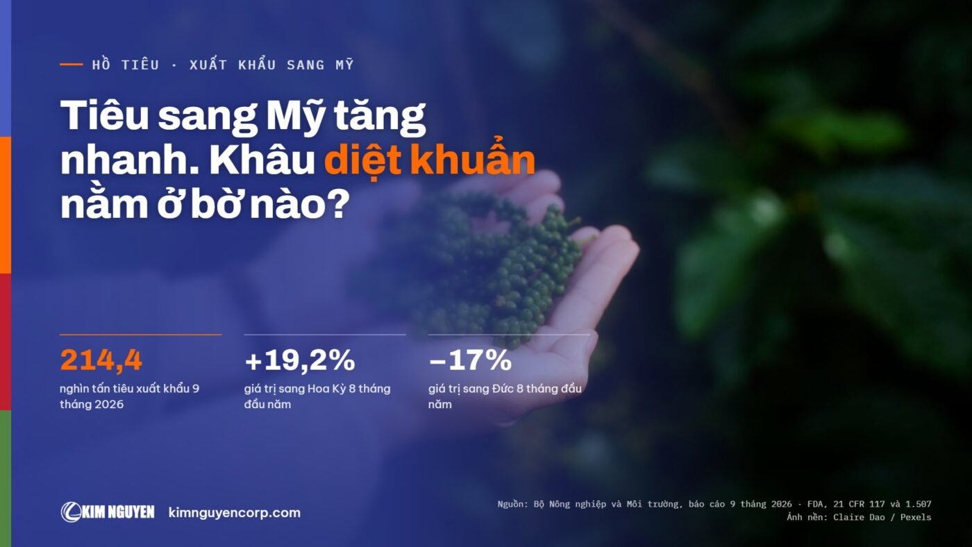 Tiêu sang Mỹ tăng nhanh. Khâu diệt khuẩn nằm ở bờ nào?