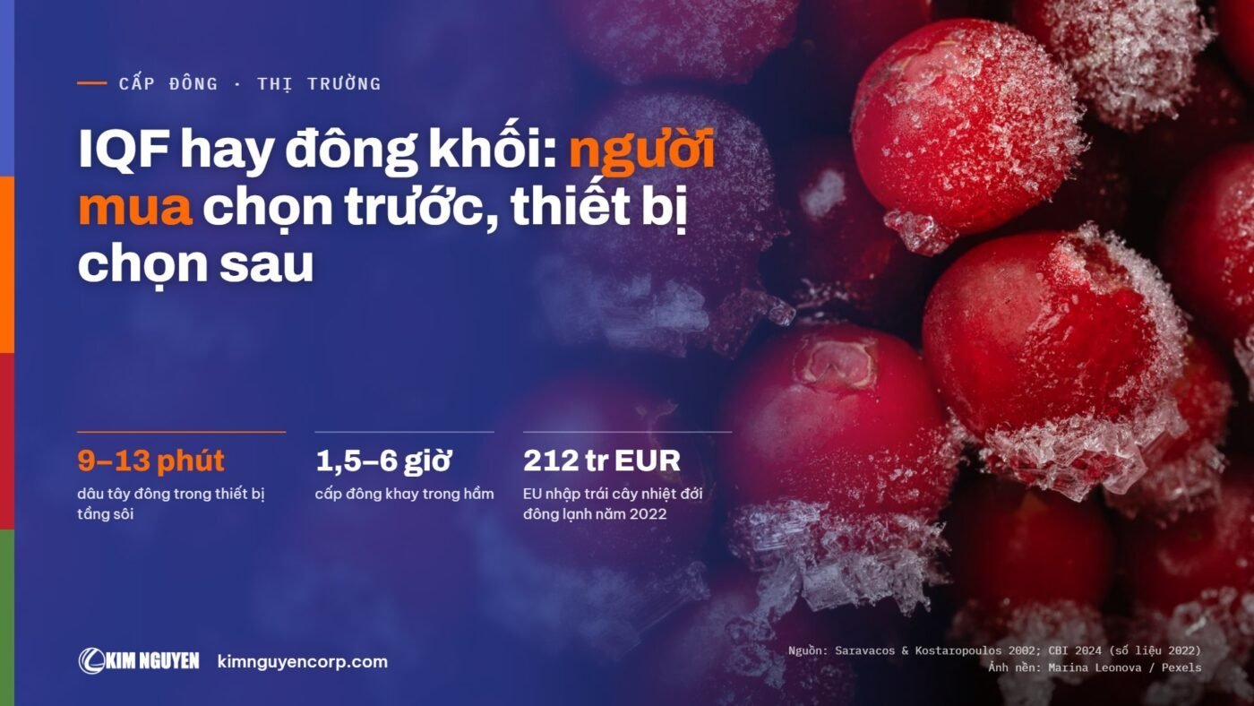 IQF hay đông khối: người mua chọn trước, thiết bị chọn sau – bìa bài Kim Nguyễn, nền quả mọng đông lạnh