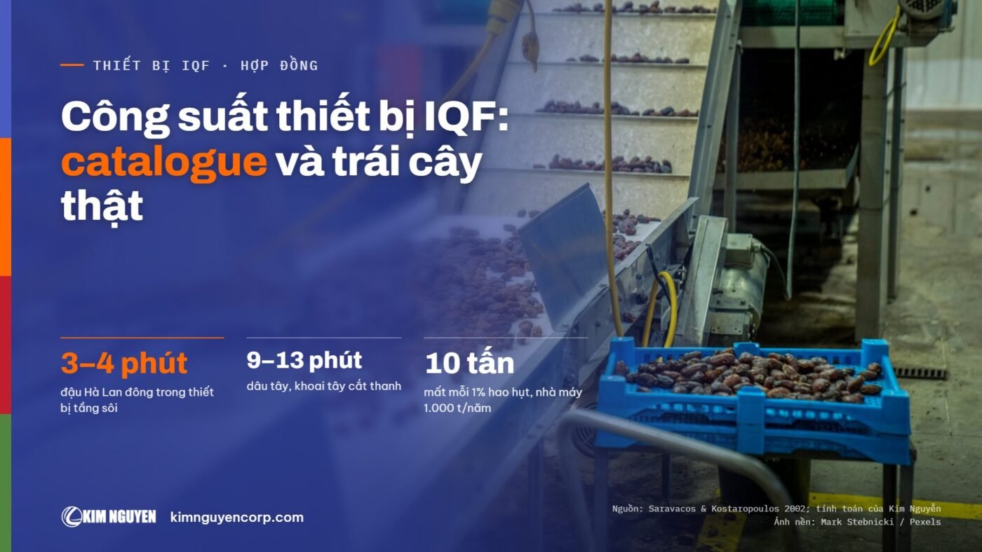 Công suất thiết bị IQF: catalogue và trái cây thật – bìa bài Kim Nguyễn, nền băng tải chế biến trái cây