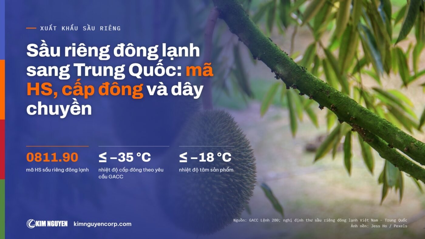 Sầu riêng đông lạnh xuất khẩu Trung Quốc: mã HS 0811.90, cấp đông ≤ −35 °C, tâm ≤ −18 °C