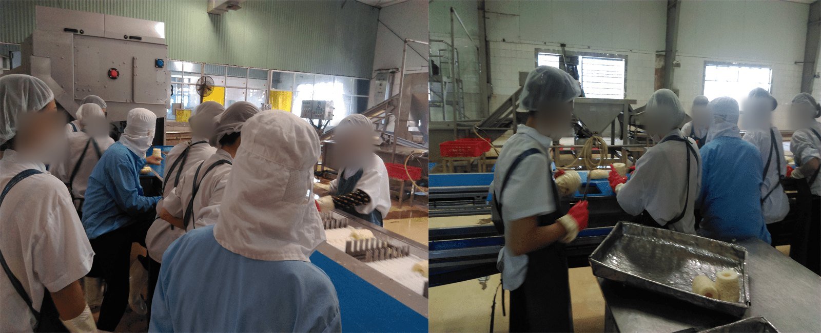 Công nhân gọt và đột lõi dứa trên dây chuyền chế biến dứa