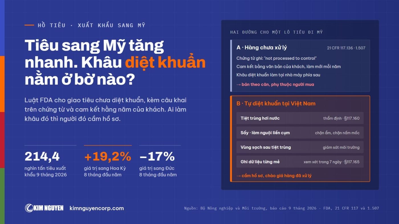 Hai đường cho lô tiêu đi Mỹ: hàng chưa xử lý kèm câu khai not processed to control theo 21 CFR 117.136, hoặc tự tiệt trùng hơi nước, sấy, vùng sạch, ghi dữ liệu từng mẻ; tiêu xuất khẩu 9 tháng 214,4 nghìn tấn, sang Mỹ +19,2%, sang Đức -17% (8 tháng)