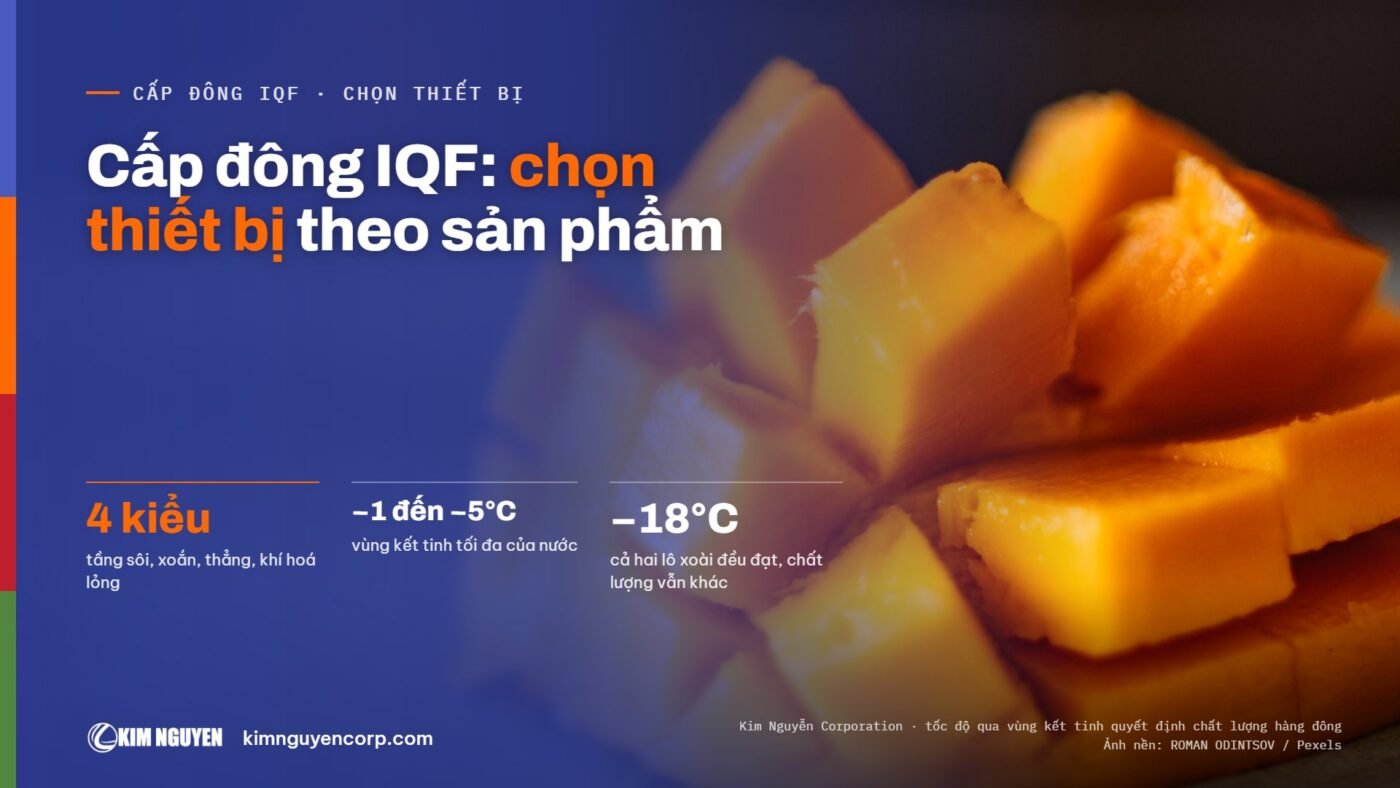 Cấp đông IQF: chọn thiết bị theo sản phẩm
