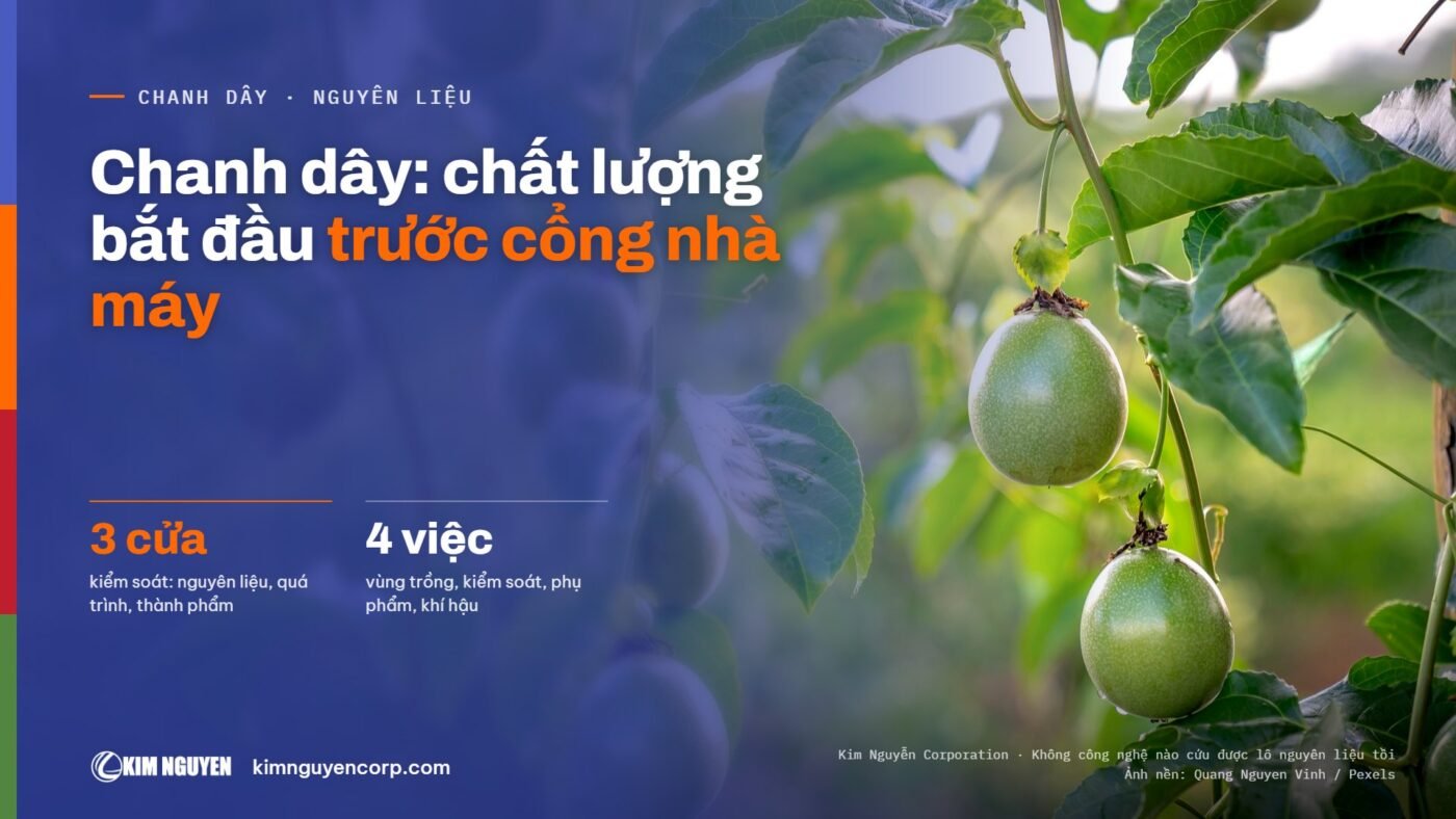 Chanh dây: chất lượng bắt đầu trước cổng nhà máy