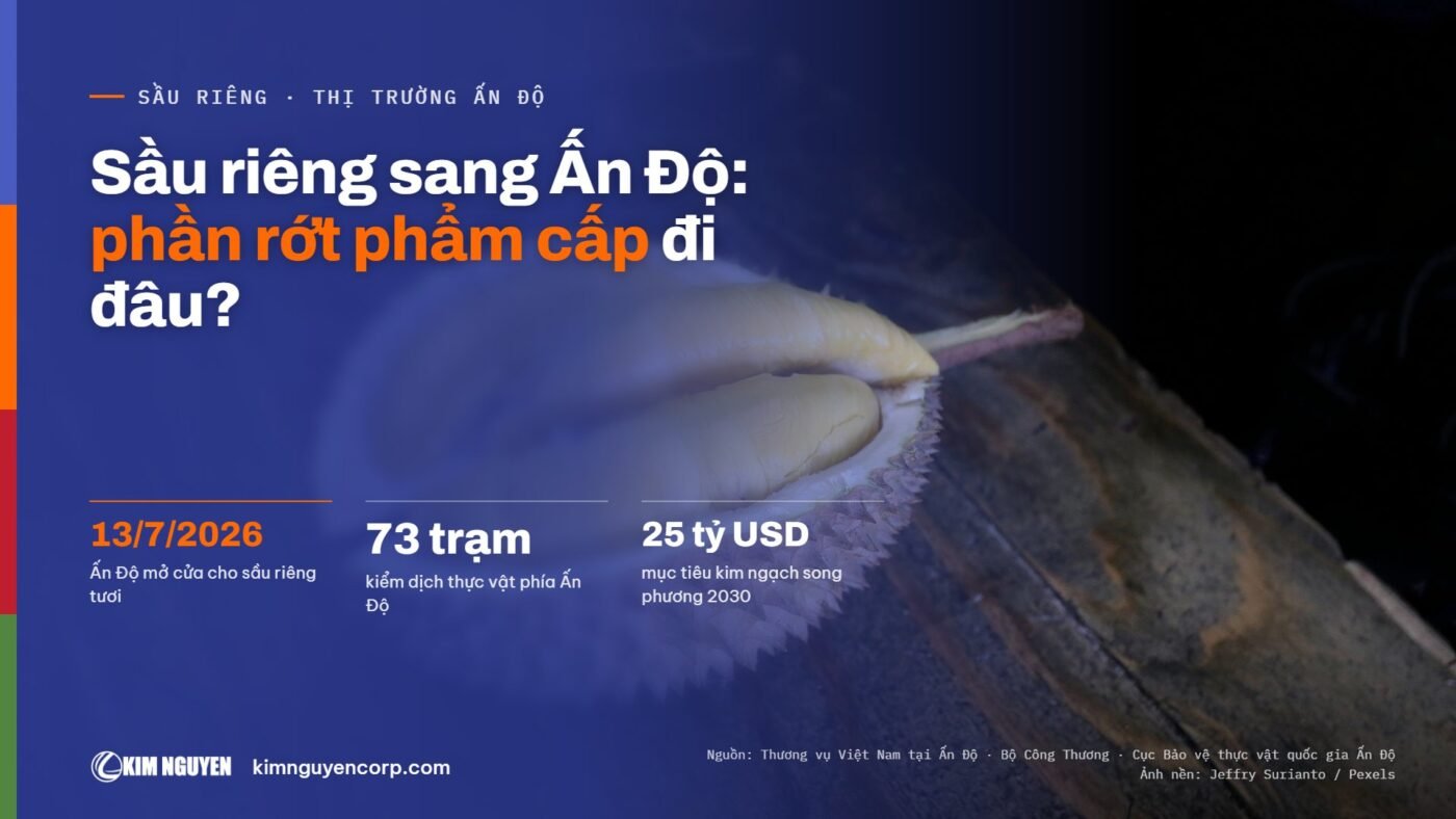Sầu riêng sang Ấn Độ: phần rớt phẩm cấp đi đâu?