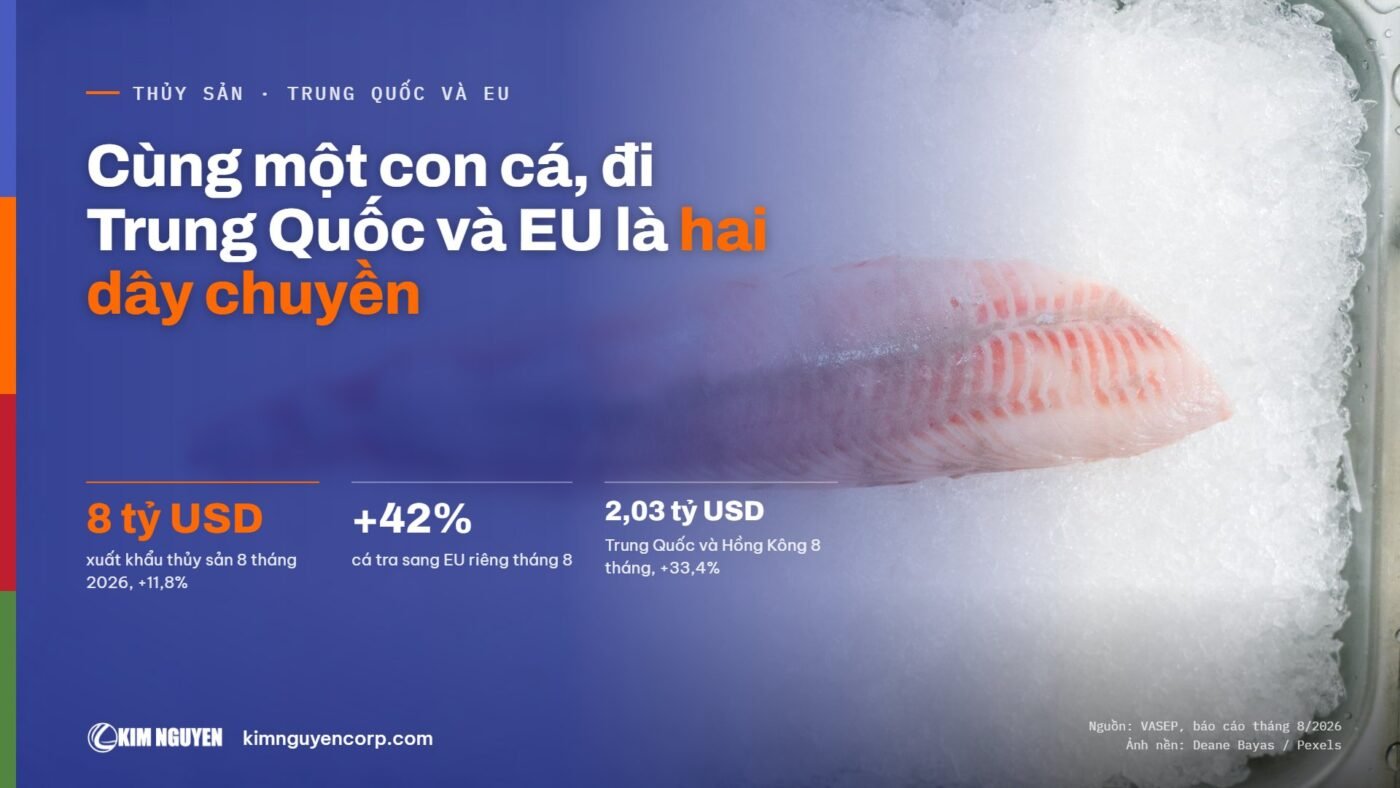 Cùng một con cá, đi Trung Quốc và EU là hai dây chuyền