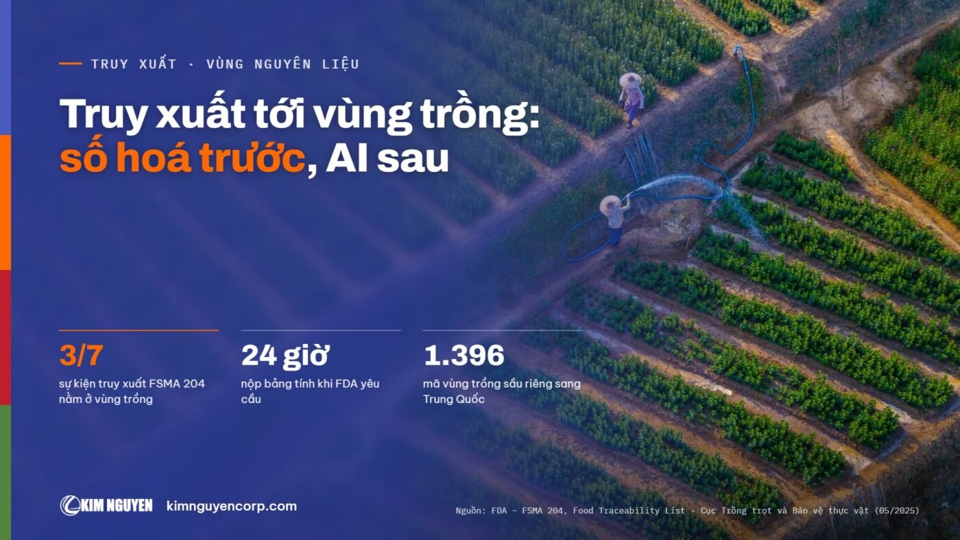 Truy xuất tới vùng trồng: số hoá trước, AI sau