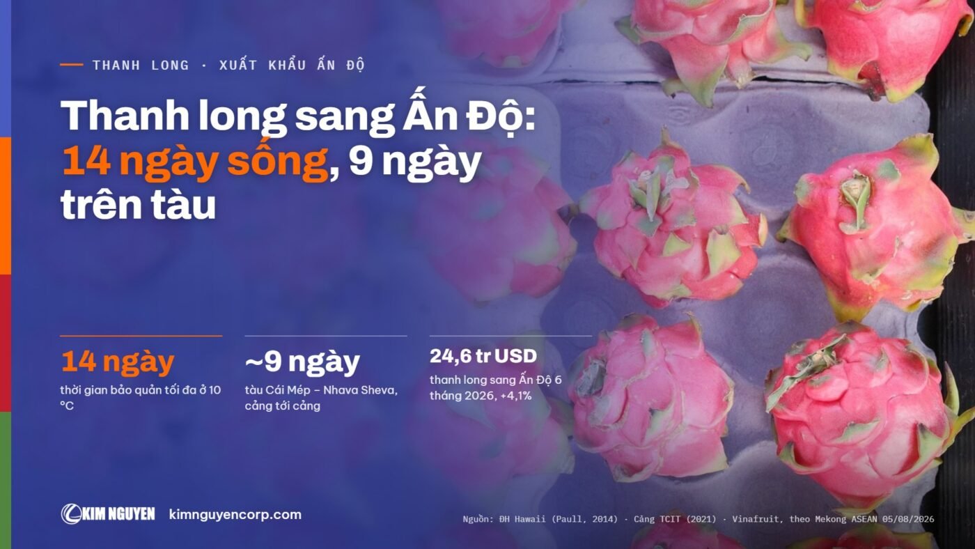 Thanh long sang Ấn Độ: 14 ngày sống, 9 ngày trên tàu