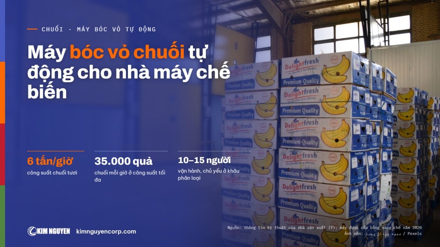 Máy bóc vỏ chuối tự động cho nhà máy chế biến