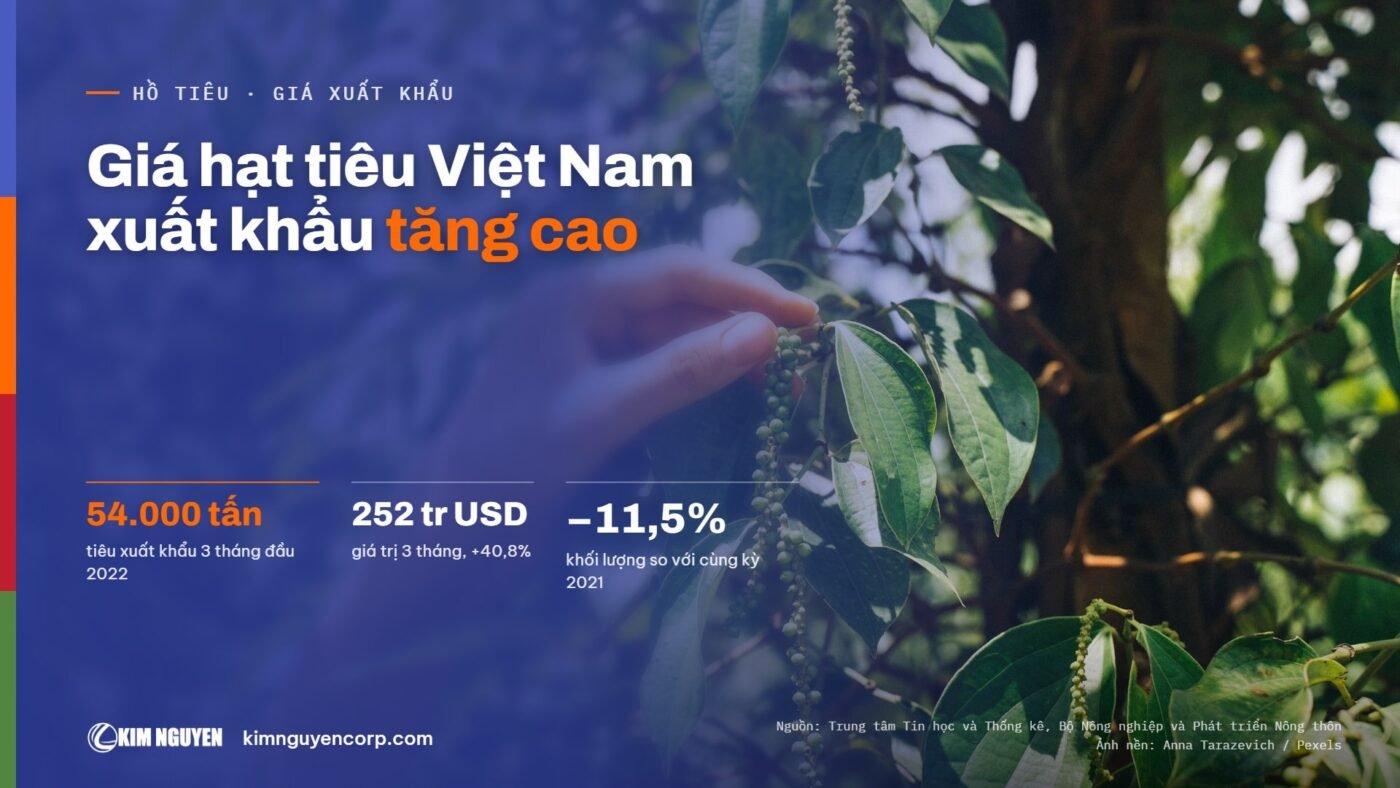 Giá hạt tiêu Việt Nam xuất khẩu tăng cao