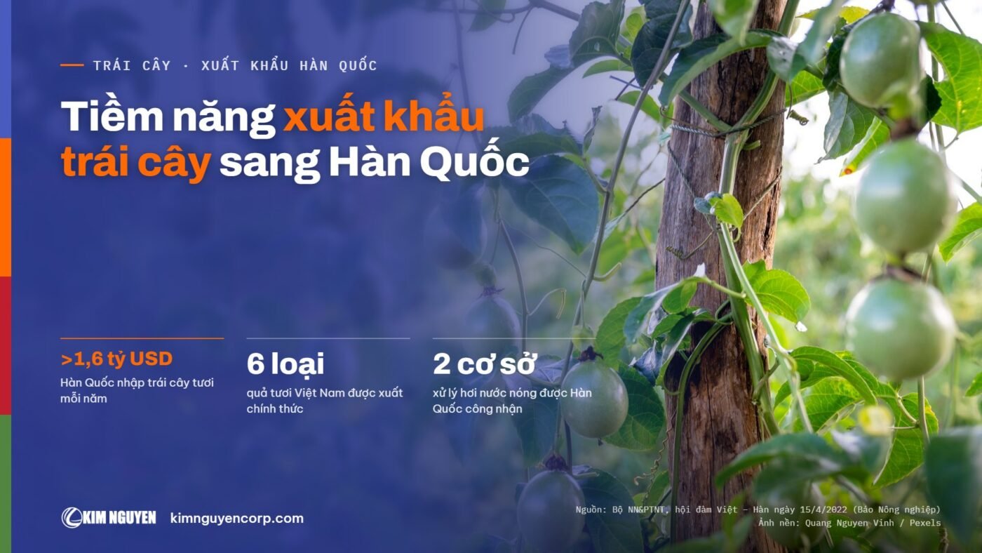 Tiềm năng xuất khẩu trái cây sang Hàn Quốc