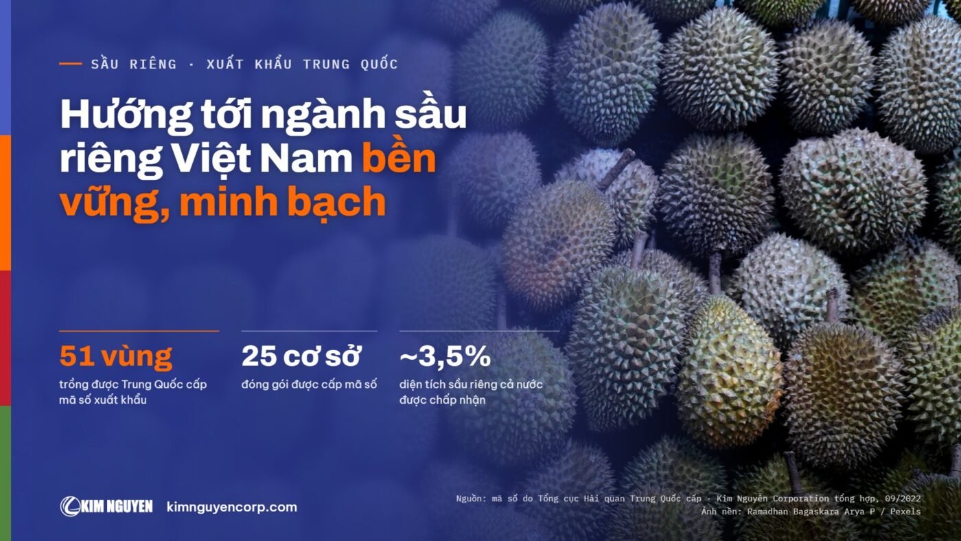 Hướng tới ngành sầu riêng Việt Nam bền vững, minh bạch