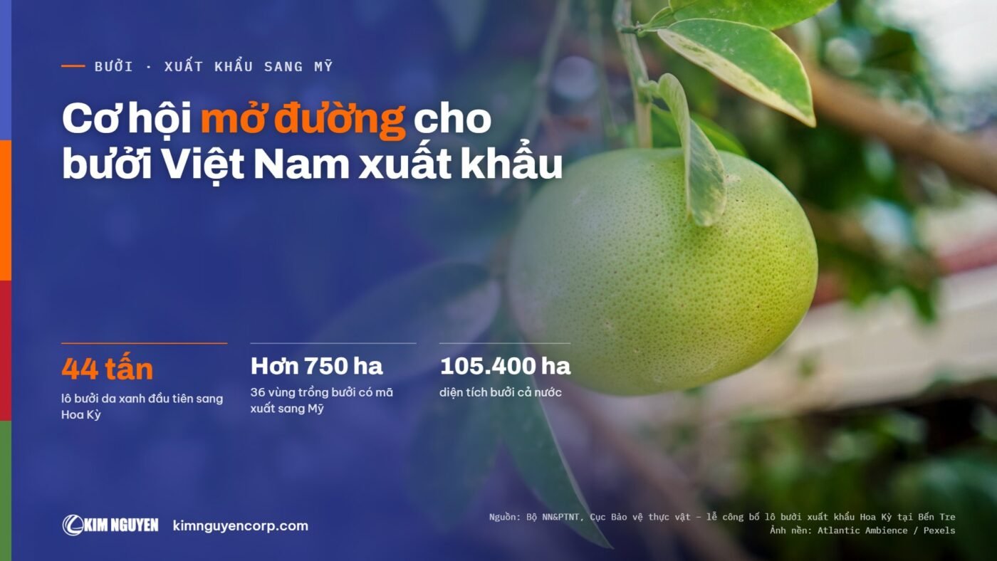 Cơ hội mở đường cho bưởi Việt Nam xuất khẩu