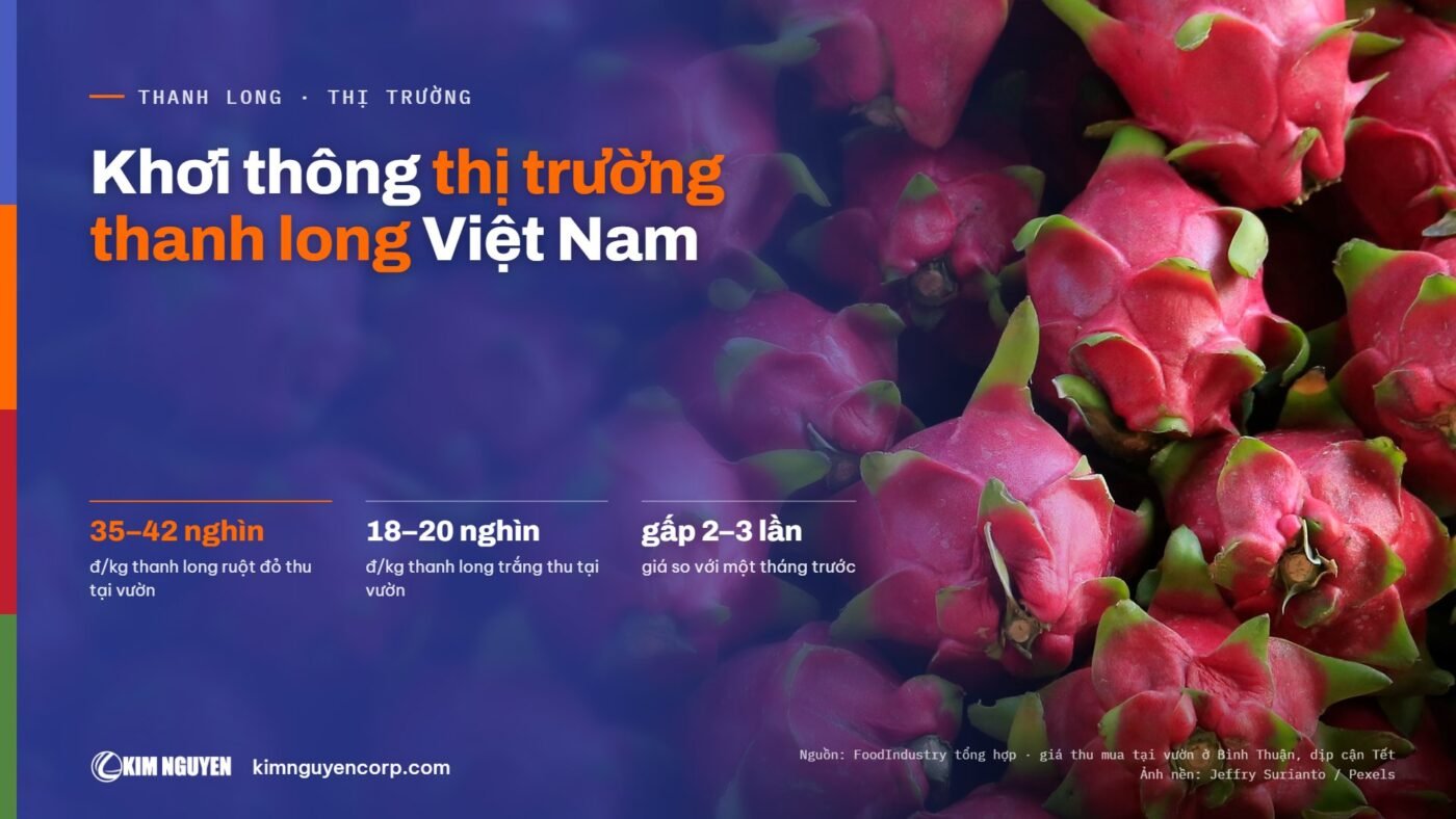 Khơi thông thị trường thanh long Việt Nam