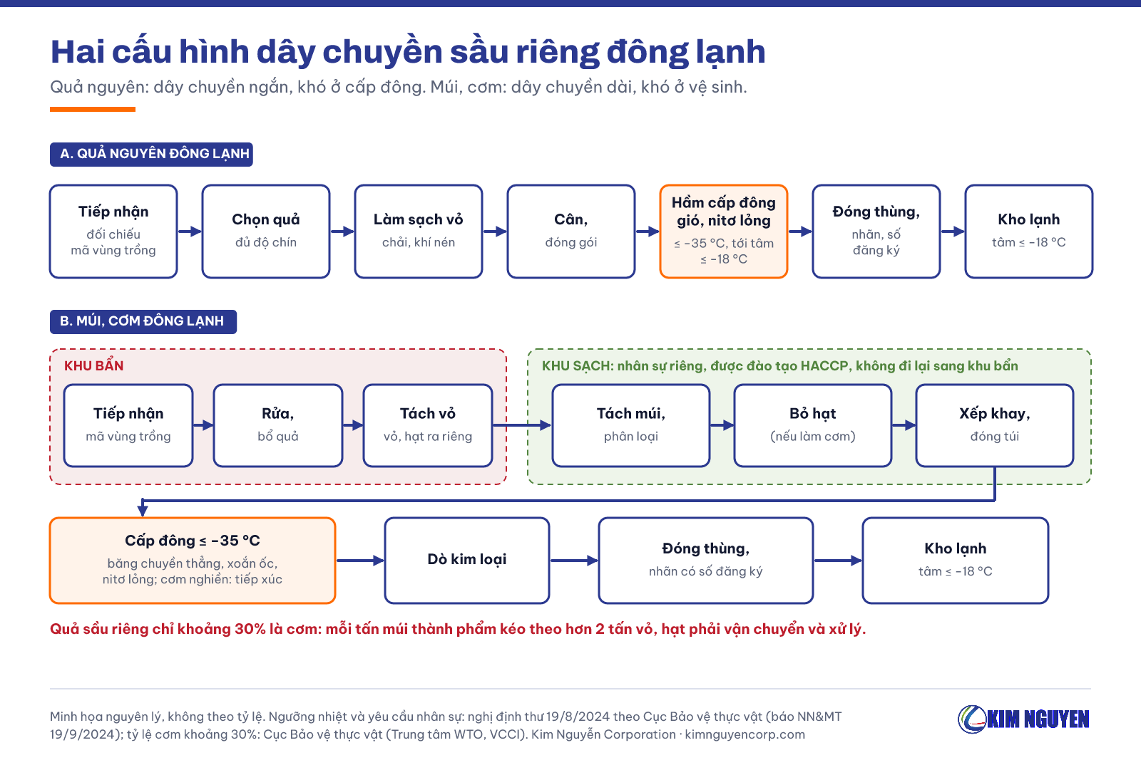 Hai cấu hình dây chuyền sầu riêng đông lạnh