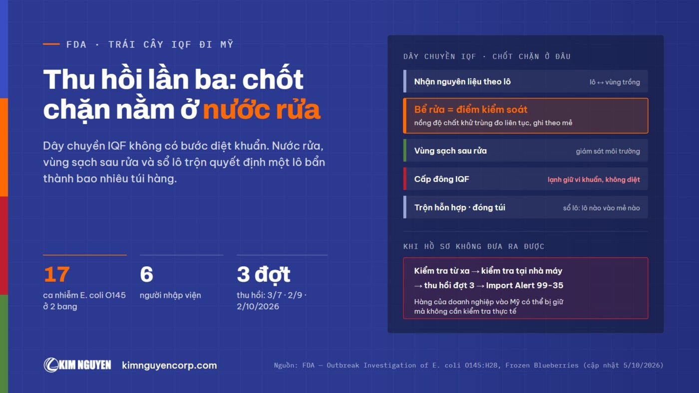 Dây chuyền trái cây IQF: bể rửa là điểm kiểm soát, vùng sạch sau rửa, cấp đông không diệt khuẩn, sổ lô trộn; vụ FDA thu hồi ba đợt, 17 ca, 6 nhập viện, Import Alert 99-35